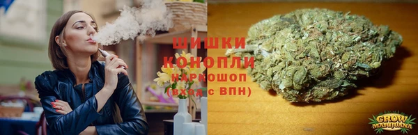 прущие грибы Краснотурьинск
