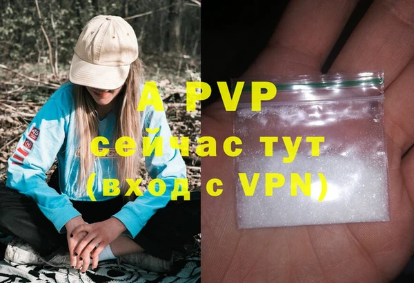 прущие грибы Краснотурьинск
