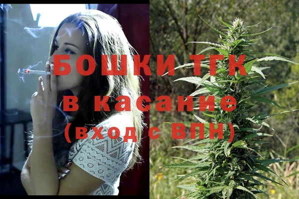 прущие грибы Краснотурьинск