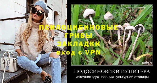 прущие грибы Краснотурьинск