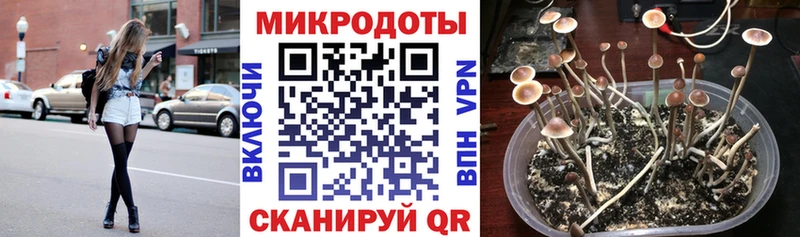 Купить  Лагань  Галлюциногенные грибы MAGIC MUSHROOMS 